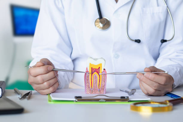 Best Emergency Root Canal Treatment in Loma Ri, CA